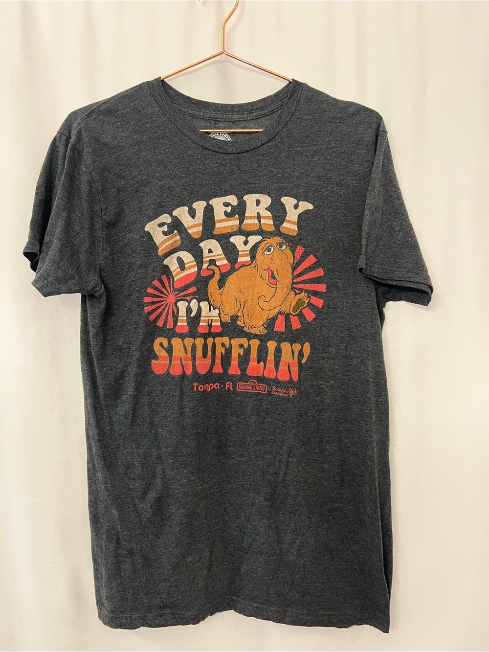 Sesame Street Every Day I'm Snufflin' Graphic Tee - Charcoal